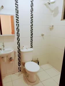 a bathroom with a toilet and a shower and a sink at Samambaia QI 616 in Brasília