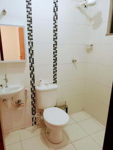 a bathroom with a toilet and a shower and a sink at Samambaia QI 616 in Brasilia