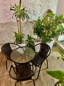 una mesa de cristal y 2 sillas y macetas en Hotel Casa Centro Historico De Cartagena Colombia, en Cartagena de Indias