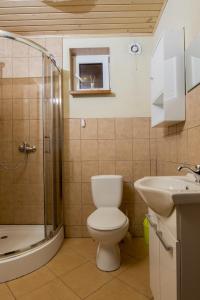 a bathroom with a toilet and a sink and a shower at Domek u Małysza Istebna in Istebna
