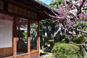 un árbol con flores rosas delante de un edificio en 蔵の宿　櫻林亭, en Miwa