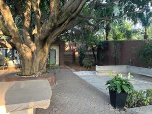 Gallery image of Villa La Mini in Oacalco +7 photos