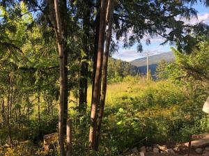 a field of grass with trees and mountains in the background at Funky Bunky in Nelson