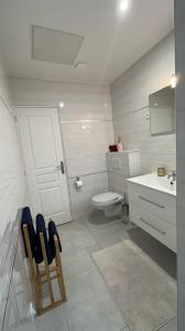 ein weißes Bad mit einem WC und einem Waschbecken in der Unterkunft Deluxe appartement Jacuzzi in Freneuse