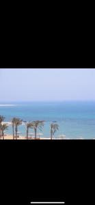 une photo d'une plage avec des palmiers et l'océan dans l'établissement La sirena, à Ain Sokhna