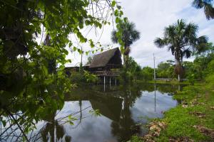 Galeriebild der Unterkunft Coatí Lodge Misahuallí - FamiliyJungleParadise in Puerto Misahuallí
