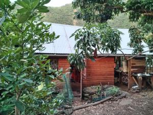 a small wooden house with a tin roof at Ilet Foukènwar in Saint-Louis