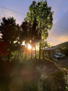 a car parked in front of a house with the sunset at Adella's Blue Mountain Coffee Farmstay in Kingston