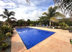 een blauw zwembad in een tuin met palmbomen bij Country Retreats on Ranzau 7 in Hope