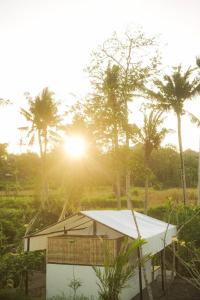 Ein Garten an der Unterkunft Camani Glamping