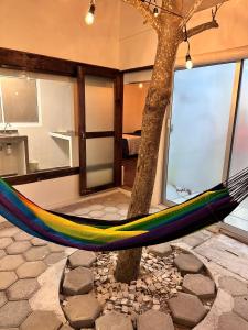 eine Hängematte neben einem Baum in einem Zimmer in der Unterkunft Apartamentos Mar y sol in Chachalacas