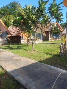 a palm tree in front of a house at Dinoyin Bungalows in Gili Meno