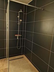 ein Bad mit einer Dusche und einer Glastür in der Unterkunft Gîte Garralda Pays Basque 6 pers in Saint-Esteben