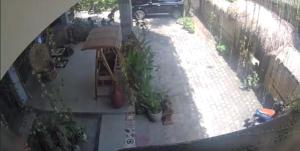 an overhead view of a patio with potted plants at Kemelod in Ubud