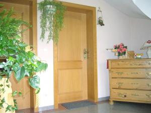 a room with a wooden door and a dresser with plants at Luise Bernhardt Modern retreat in Poppenhausen