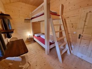 Englhof Modern retreat في Corvara in Passiria: غرفة نوم مع سرير بطابقين في كابينة