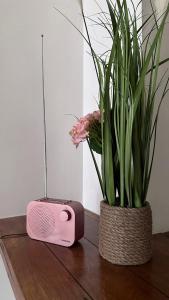a pink speaker sitting next to a potted plant at City Centre Apartment by Noire Property in Manchester