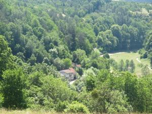 una casa en medio de una colina con árboles en chez Emil and Isabelle, en Rumbach