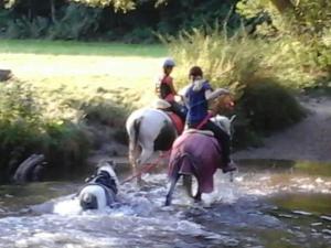 3 personnes à cheval à travers une rivière avec un chien dans l'établissement Heidehof Bunge Modern retreat, à Uelzen