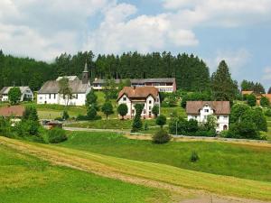 un groupe de maisons sur une colline avec un champ vert dans l'établissement Rappenloch Modern retreat, à Eisenbach