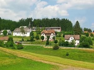 a group of houses on a hill with a green field at Rappenloch Modern retreat in Eisenbach