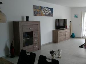 a dog sitting on the floor in a living room at Todtmoos Modern retreat in Todtmoos