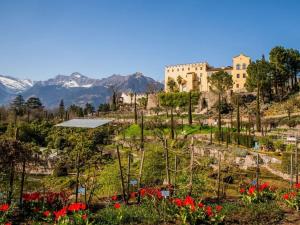 vistas al jardín con montañas de fondo en Time travel, open-plan apartment en Merano