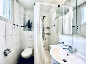 een badkamer met een wastafel, een toilet en een douche bij Business Apartment in Derendingen in Derendingen