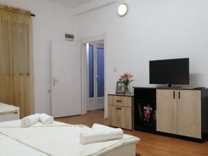 a living room with a tv and a couch at Belinda Apartment in Gevgelija