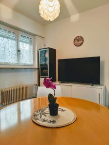 a table with a potted plant sitting on top of it at Sailing Apartment Lugano in Lugano