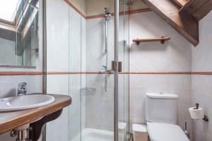 uma casa de banho com um chuveiro, um WC e um lavatório. em Luderna - Dúplex Nòdes II em Arties