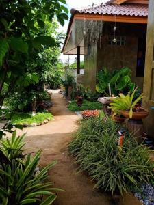 un camino de jardín que conduce a una casa con plantas en ต้นโพธิ์โฮมสเตย์ 