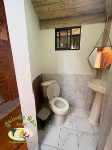 ein Bad mit einem WC und einem Waschbecken in der Unterkunft Quinde Ñan Lodge in Papallacta