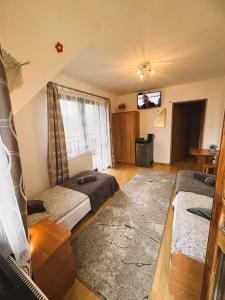 a living room with two beds and a television at Czarne jagody in Kościelisko