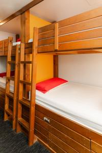 two bunk beds in a dorm room with white mattress at Haka Lodge Bay of Islands (Paihia) in Paihia