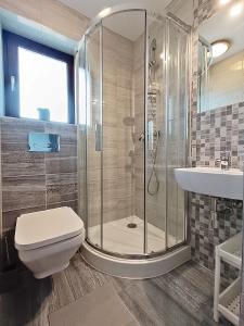 een badkamer met een douche, een toilet en een wastafel bij Willa Żółta Turnicka in Zakopane