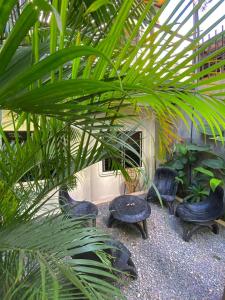 a group of chairs and plants in a courtyard at Mojo Hostel in Puerto Princesa City