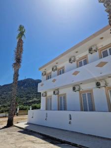 a building with a palm tree in front of it at Christina Studios in Kefalos