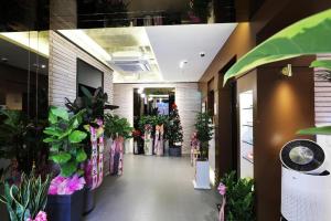 清州的住宿－Hotel In Modern，一条充满了许多盆栽植物的走廊