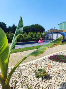 Zahrada ubytování Les suites du littoral - Gîtes proche mer - Piscine - SPA