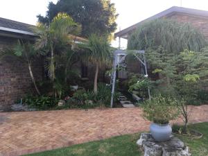 un jardin avec des palmiers et une maison dans l'établissement Aan de weg, au Cap