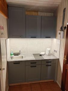 a kitchen with gray cabinets and a sink at Cottage Barbara in Škofja Loka