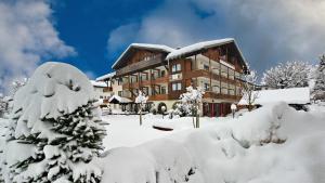 上斯陶芬的住宿－Trail Hotel Oberstaufen，一座大建筑,被雪覆盖着,树上覆盖着雪