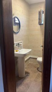 een badkamer met een wastafel en een toilet bij Lazarus house in Berane