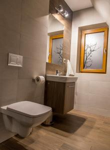 ザコパネにあるU Suchowianaのバスルーム(トイレ、洗面台、鏡付)