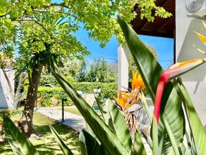 Taman di luar Beachfront Suites GardenMare by DadoVillas