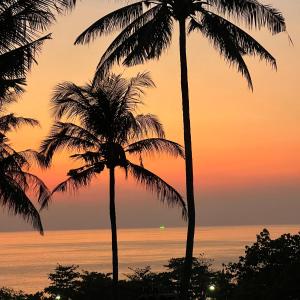 two palm trees in front of the ocean at sunset at Kata Villa Merit Hill Bungalows in Ban Karon