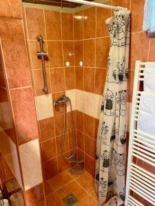 a bathroom with a shower with a shower curtain at Pacsirta Vendégház in Tiszaderzs