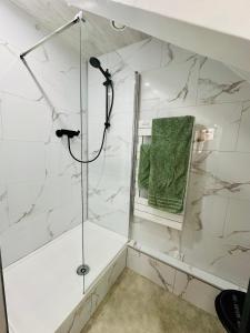 a bathroom with a shower with a green towel at Studio Cosy in Saint-Gilles