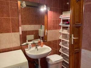 a bathroom with a sink and a mirror at Pacsirta Vendégház in Tiszaderzs +45 photos